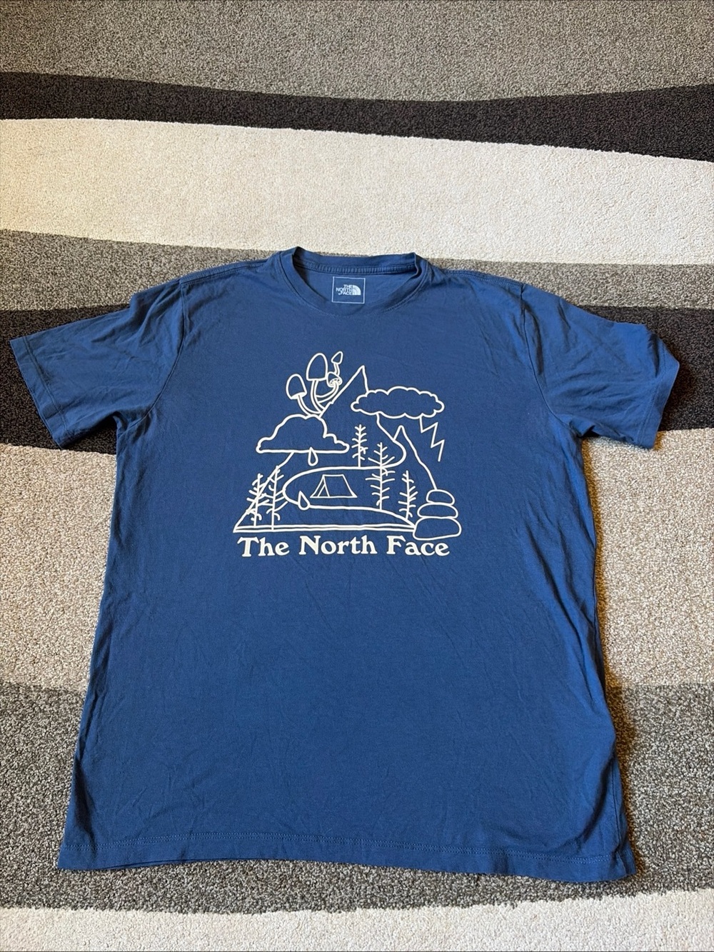 The North Face Mens Sz M Shady Blue Places We Love Casual Tee Graphic Mushrooms
